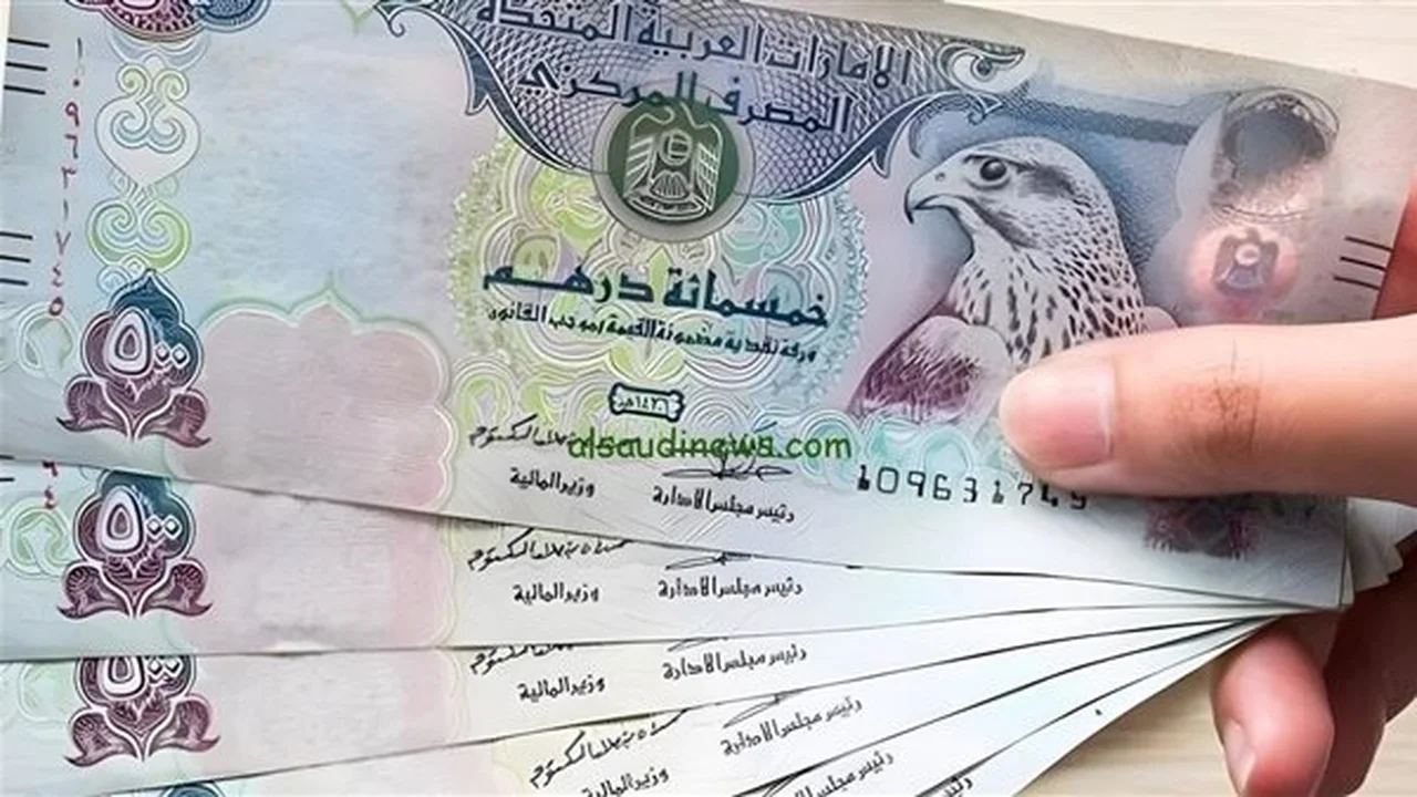 تغيرات أسعار صرف الدرهم الإماراتي أمام الجنيه في 5 بنوك مصرية اليوم